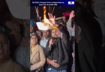 Aravalli Bachao: 80,000+ People Unite. aravali