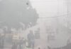 delhi